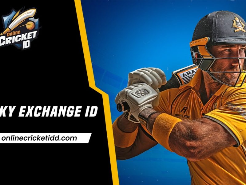 Sky Exchange: What You Can Expect and Safety Tips