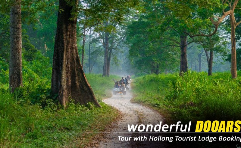 Customised Plans for The Dooars Tour with Jaldapara Elephant Safari Experience