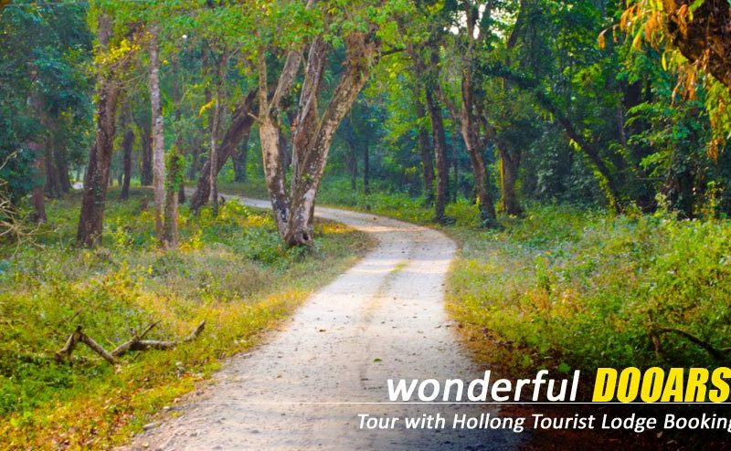 Customised Plans for The Dooars Tour with Jaldapara Elephant Safari Experience