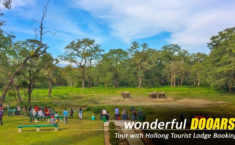 Customised Plans for The Dooars Tour with Jaldapara Elephant Safari Experience