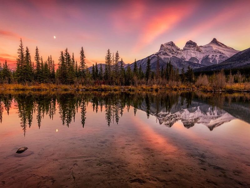 Looking for the best platform to explore and stream Hindi movies?