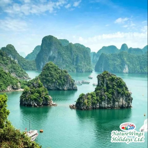Vietnam Tour Packages from Kolkata – Where Nature and Heritage Unite in Harmony