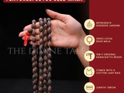 Original Rudraksha Mala