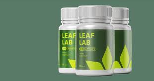 Leaf Lab