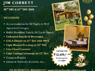 New Year Packages in Jim Corbett 2026 at Bijrani Jungle