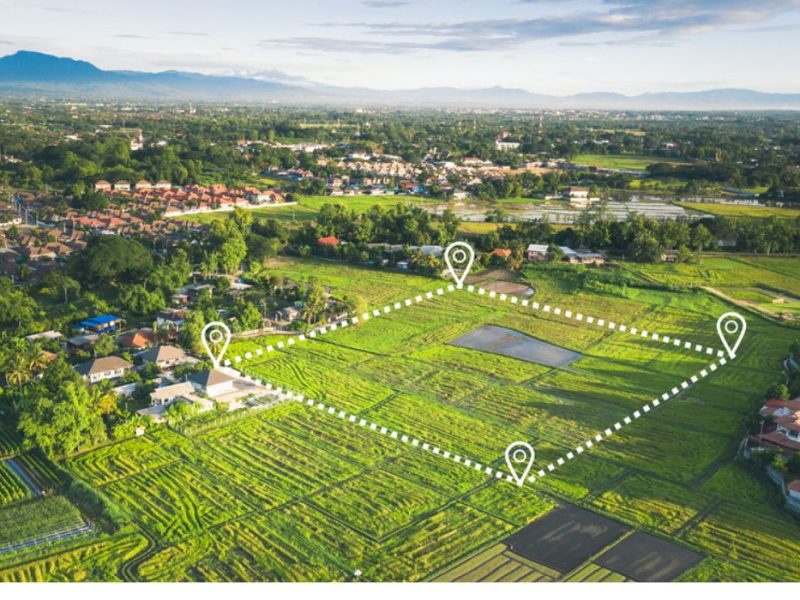 Do you prefer plots near schools, markets, or transport?