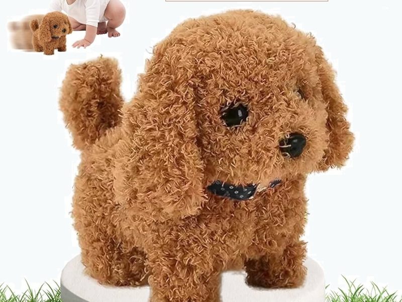 Froplay Roboter Hund : Funktionen, Vorteile und praktische Anwendungsmöglichkeiten