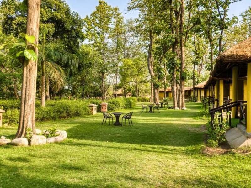 Bijrani Jungle Cottages – Your Perfect Nature Hideaway in Jim Corbett