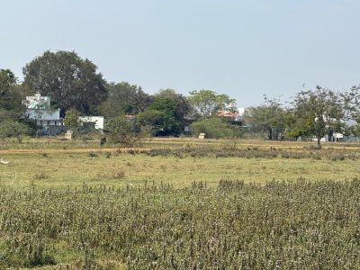 Dtcp approved plots for sale at kalyana kuppam village