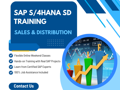 Mastering SAP S/4HANA Sales & Distribution (SD) – From Basics to Advanced