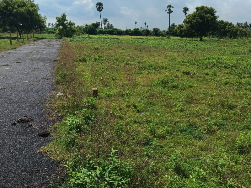 DTCP and RERA Approved Plots Available in Veppampattu