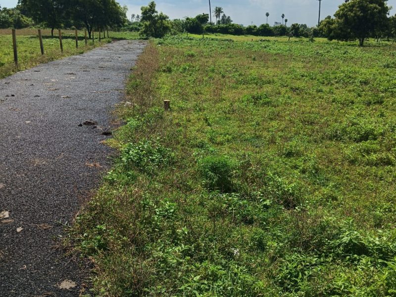 DTCP and RERA Approved Plots Available in Veppampattu