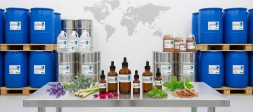 Bulk Essential Oils for Sale – Pure, Natural & Wholesale Supply