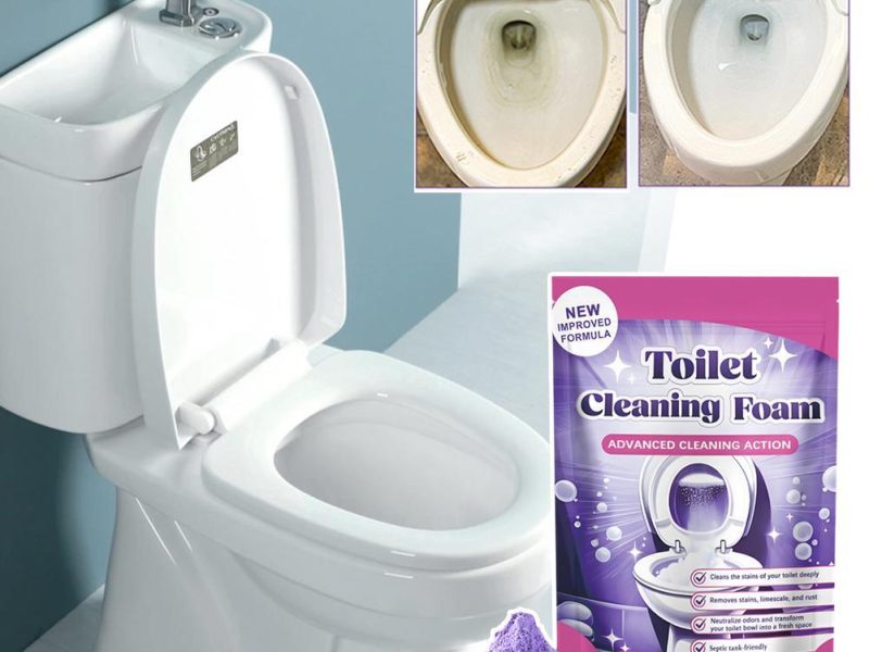 Fizz Clean – Un nettoyage des toilettes sans effort pour les foyers occupés
