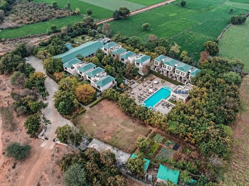 Resorts in Ranthambore – Where Comfort Meets Jungle Charm