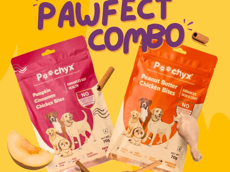 Buy Dog Treats | Dog Chew Treats For Training Puppies