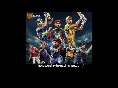 What Makes Playinexch365 Easy for First-Time Users