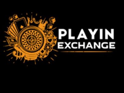 Playinexch365 Platform Overview for New Users