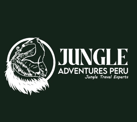 INVERSIONES ROBLES J&V SAC.