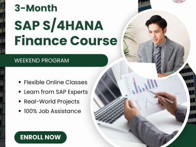 SAP S/4HANA Finance (SAP FI)