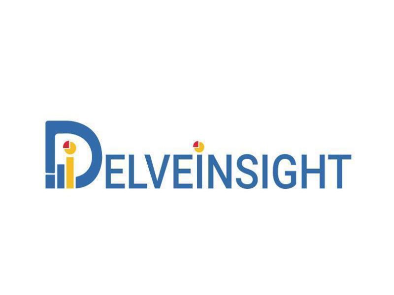 About Delveinsight