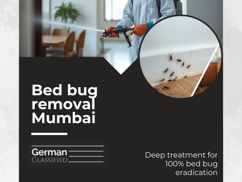 Expert Bed Bug Removal Mumbai: Restoring Your Sleep