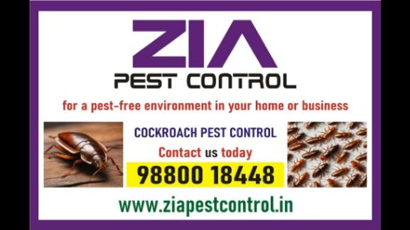 Cockroach Service | No More Cockroaches | Contact for Special discount | 341