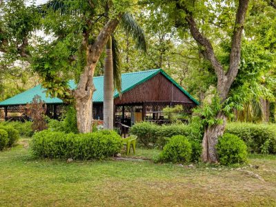 Celebrate Holi at Bijrani Jungle Cottages by Vedam Jim Corbett