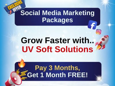 Expert SEO Agency in Chandigarh for Local and Global SEO | UV Soft Solutions