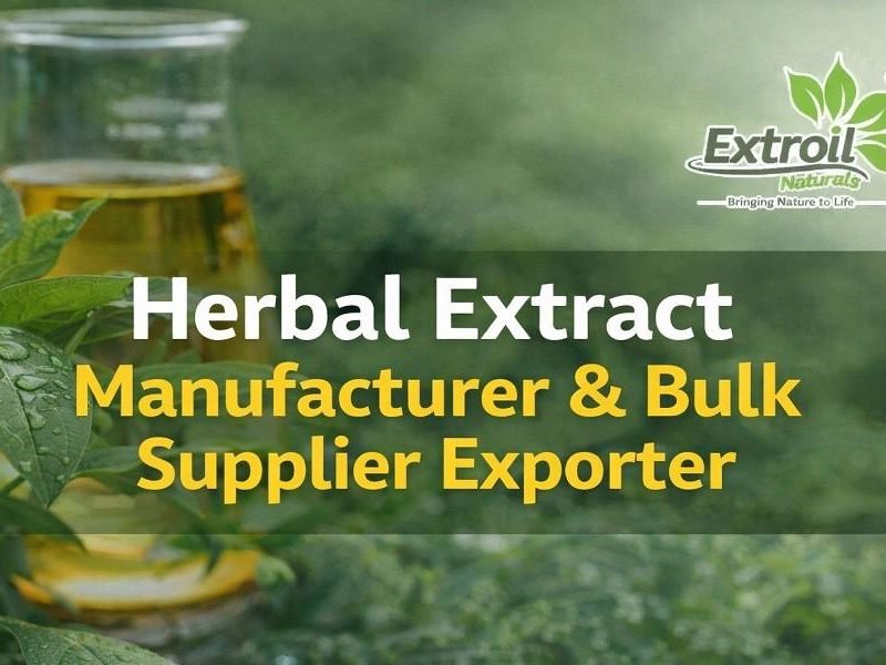 Herbal Extract Manufacturer & Bulk Supplier Exporter
