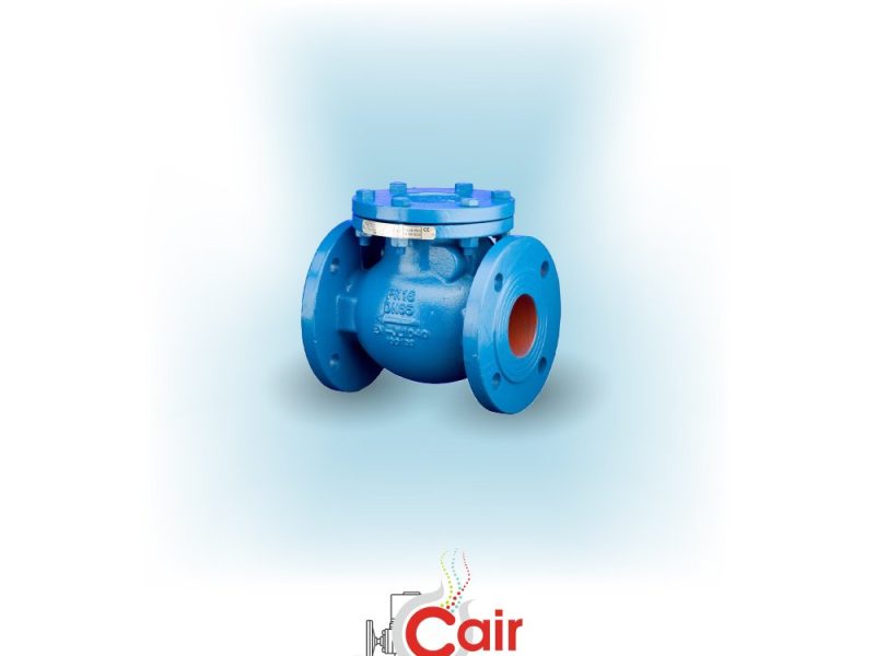 Industrial Non Return Valve Manufacturer – Safe Backflow Control