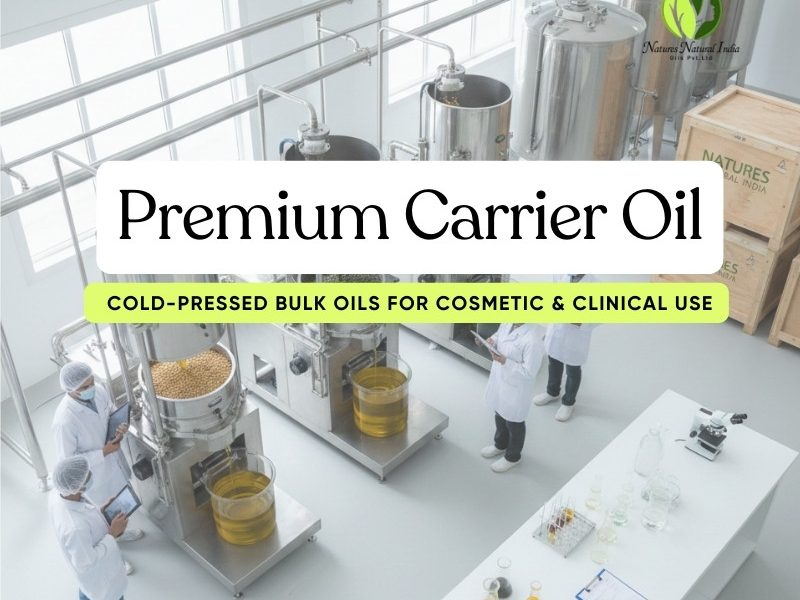Premium Carrier Oil Manufacturer | Cold-Pressed Bulk Oils for Cosmetic & Clinical Use