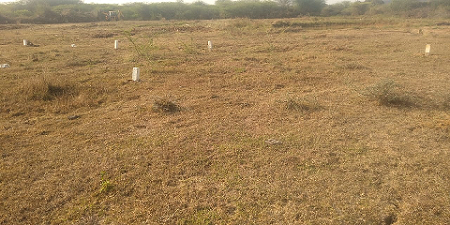  DTCP approved plots for sale at sriperumbudur in thathanur