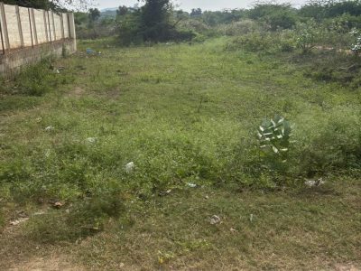  DTCP approved plots for sale at lakshmi narashima nagar