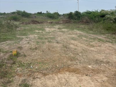 DTCP approved plots for sale at lakshmi narashima nagar