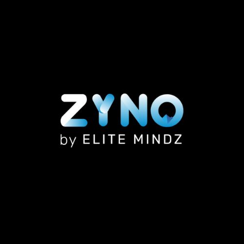 Custom ERP Software Development | ZYNO by Elite Mindz