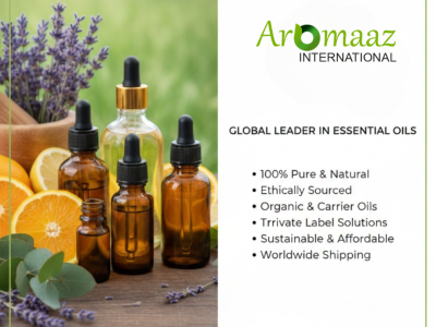 2026 Guide to the Best Essential Oil Brands for Purity & Wellness