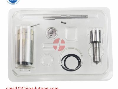 Common rail fuel injector kit 095000-5810