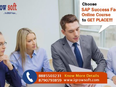 SAP Success Factors training and placement Assistance | Igrowsoft
