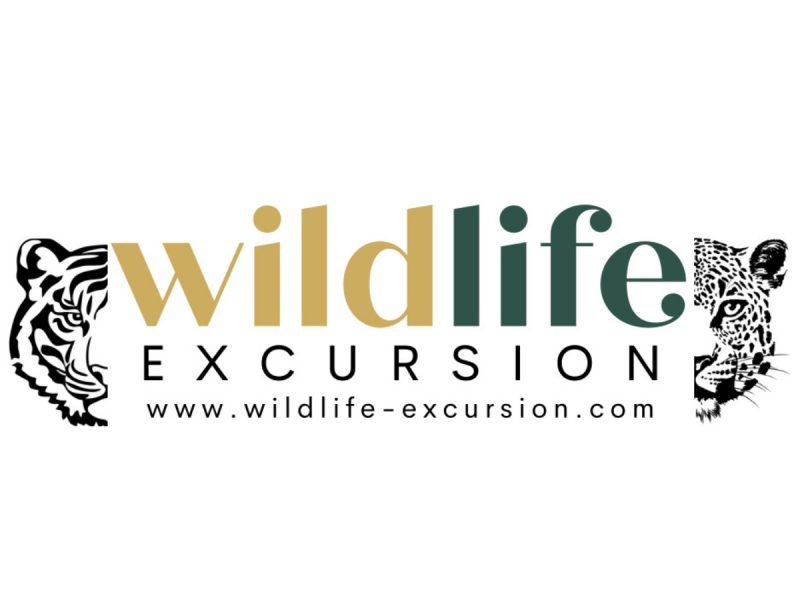 Wildlife Excursion | Wildlife Safari Booking
