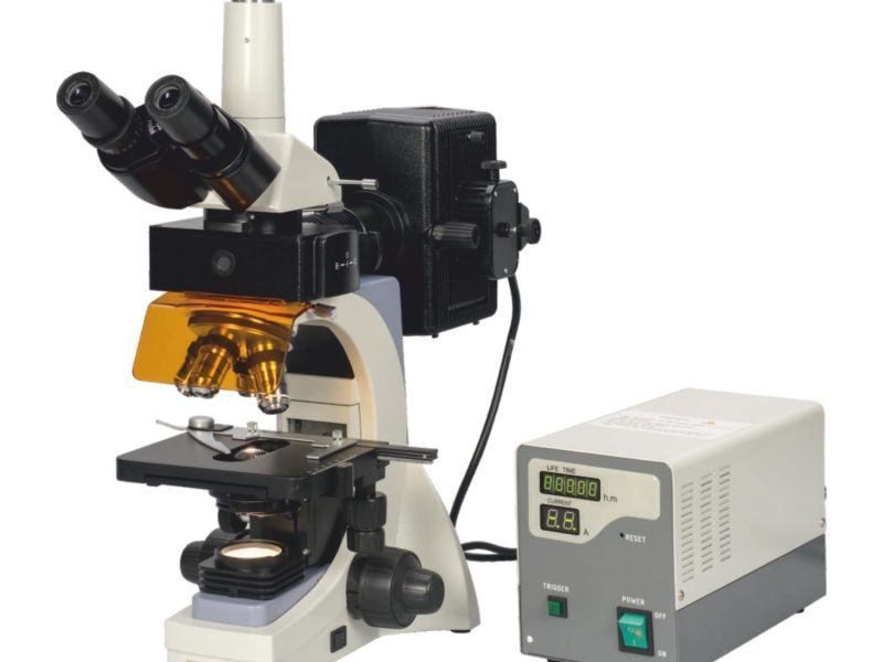 Leading Microscope Manufacturer, Supplier and Exporter in India