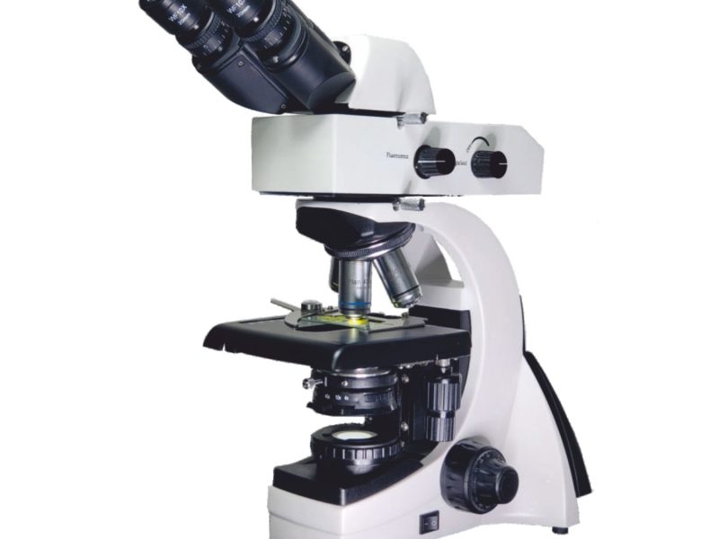 Leading Microscope Manufacturer, Supplier and Exporter in India