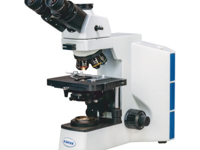 Leading Microscope Manufacturer, Supplier and Exporter in India