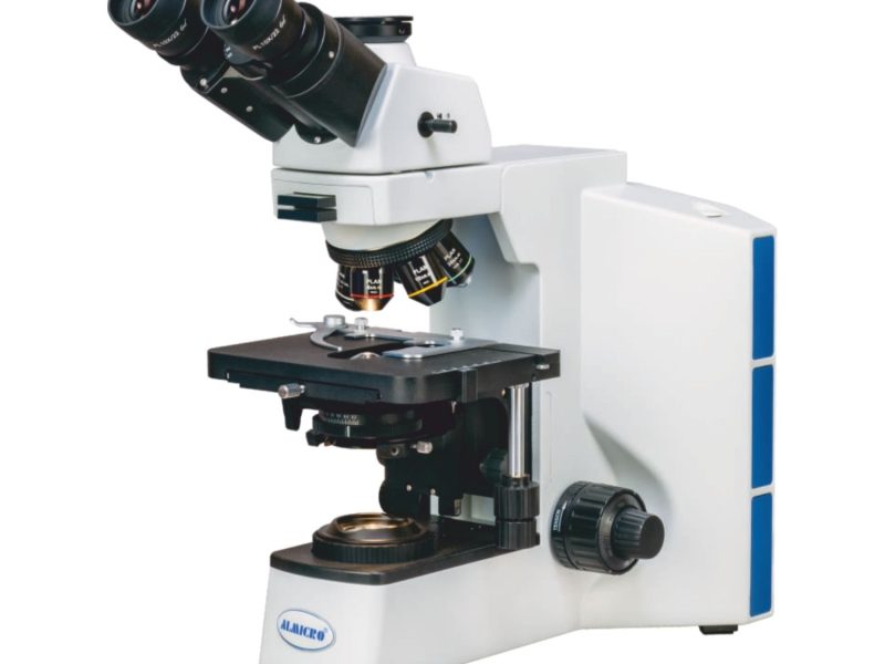 Leading Microscope Manufacturer, Supplier and Exporter in India