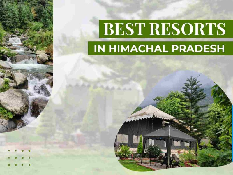 Best Resorts In Himachal Pradesh for Scenic Luxury Stay