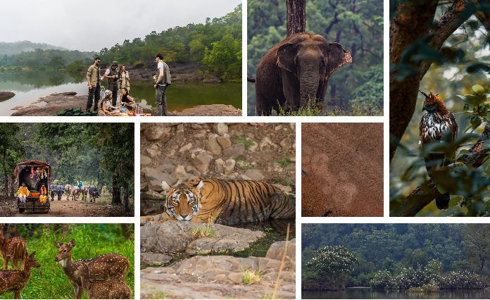 The Forest Chapter, Madhai – A Riverside Nature Retreat