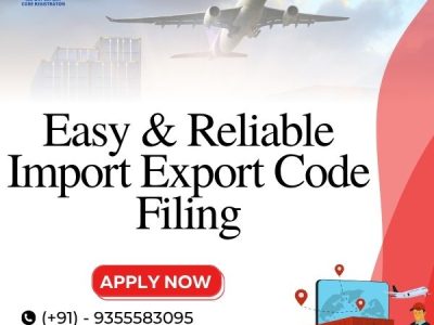 Easy & Reliable Import Export Code Filing