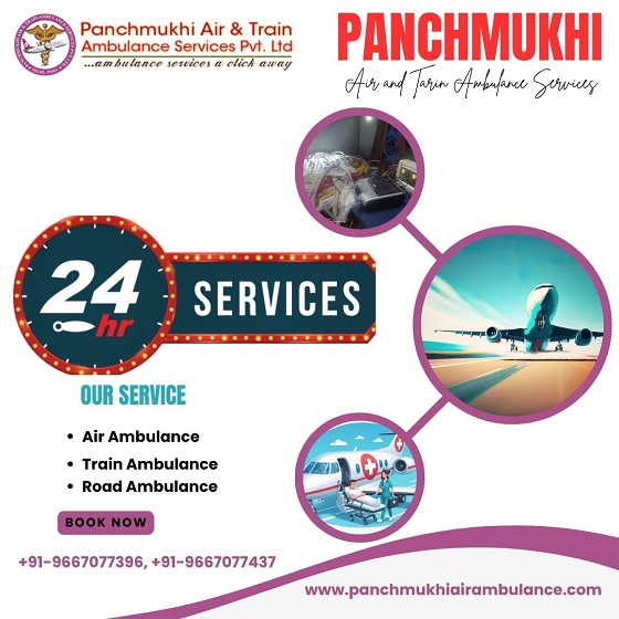 Hire Panchmukhi Air and Train Ambulance Service in Darbhanga with Medical Device