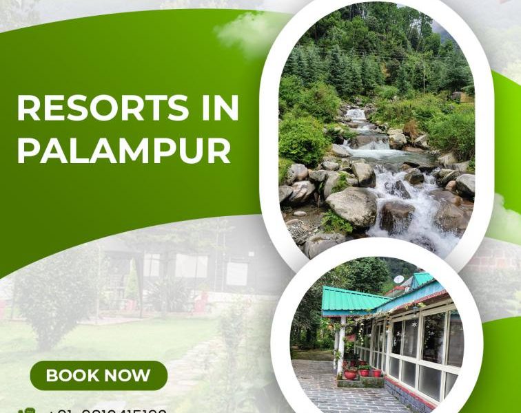 Resorts In Palampur for Scenic Mountain Stay Experience