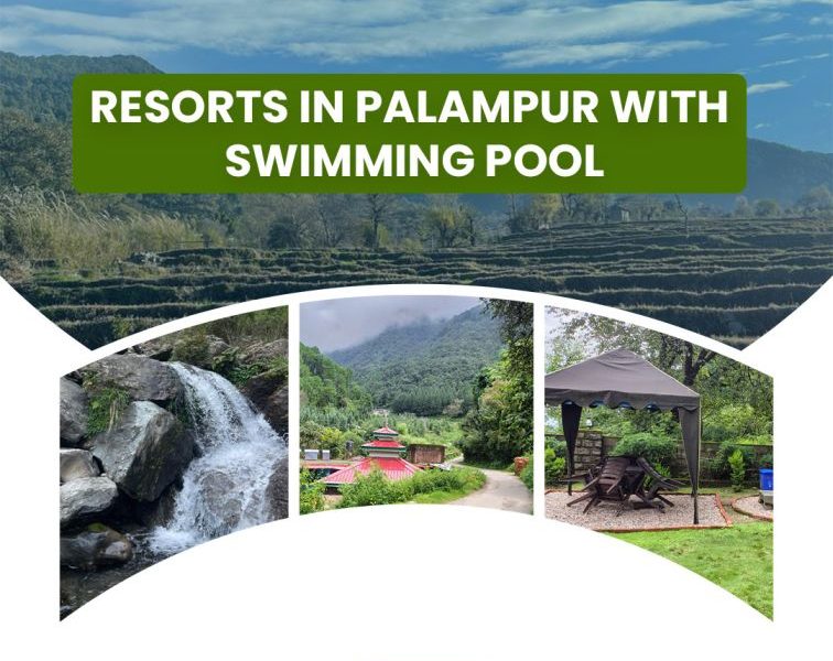 Resorts In Palampur With Swimming Pool and Luxury Stay